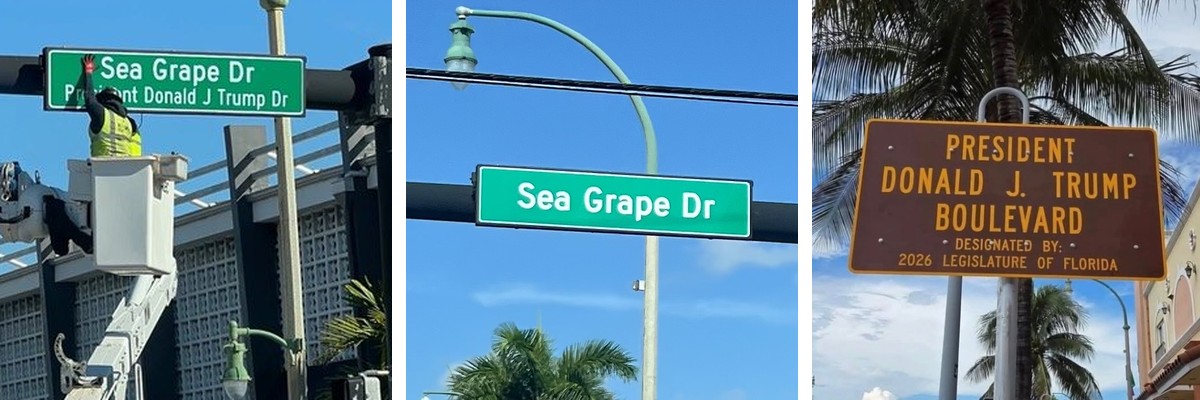 Three signs in order: February 2, 2026, a crew installing the President Donald J Trump Dr sign beneath Sea Grape Dr; the Sea Grape Dr sign on its own; and the brown state marker reading President Donald J. Trump Boulevard, designated by 2026 Legislature of Florida