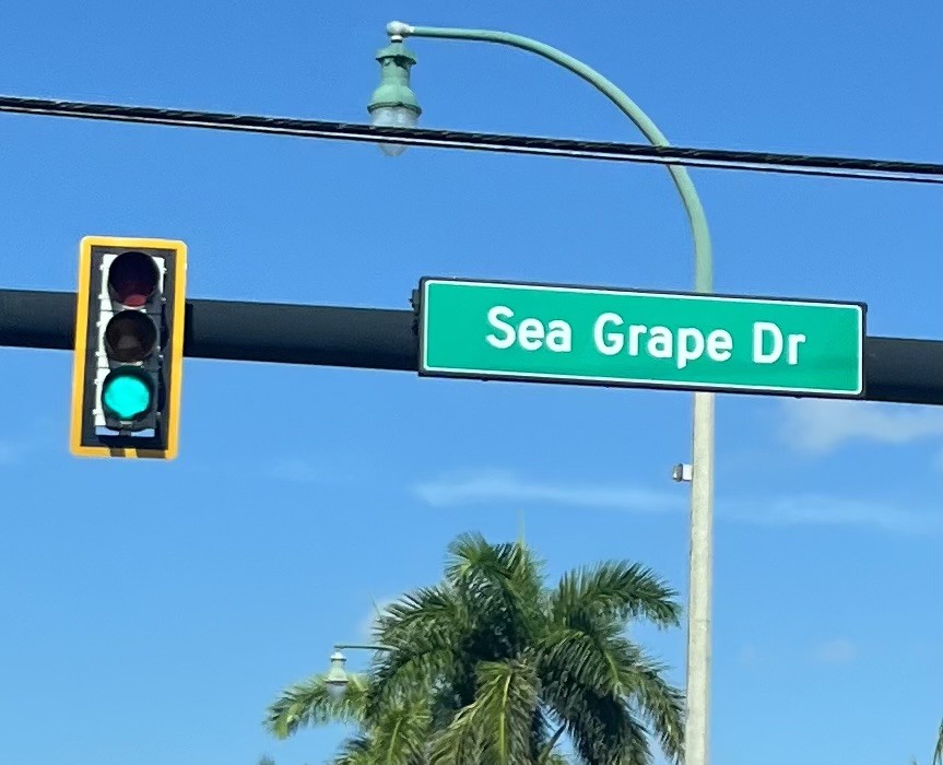 The Sea Grape Drive street sign, with no second name on it